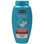 شامپو ضد ریزش مو هربال مدل Hair Loss Control حجم 500 میل