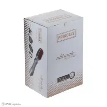 سشوار دارای برس حالت دهنده پرینسلی مدل PR246AT