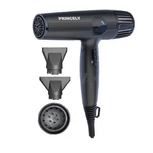princely-hair-dryer-model-pr280at-bldc-motor سشوار پرو پرنسلی مدل PR280AT
